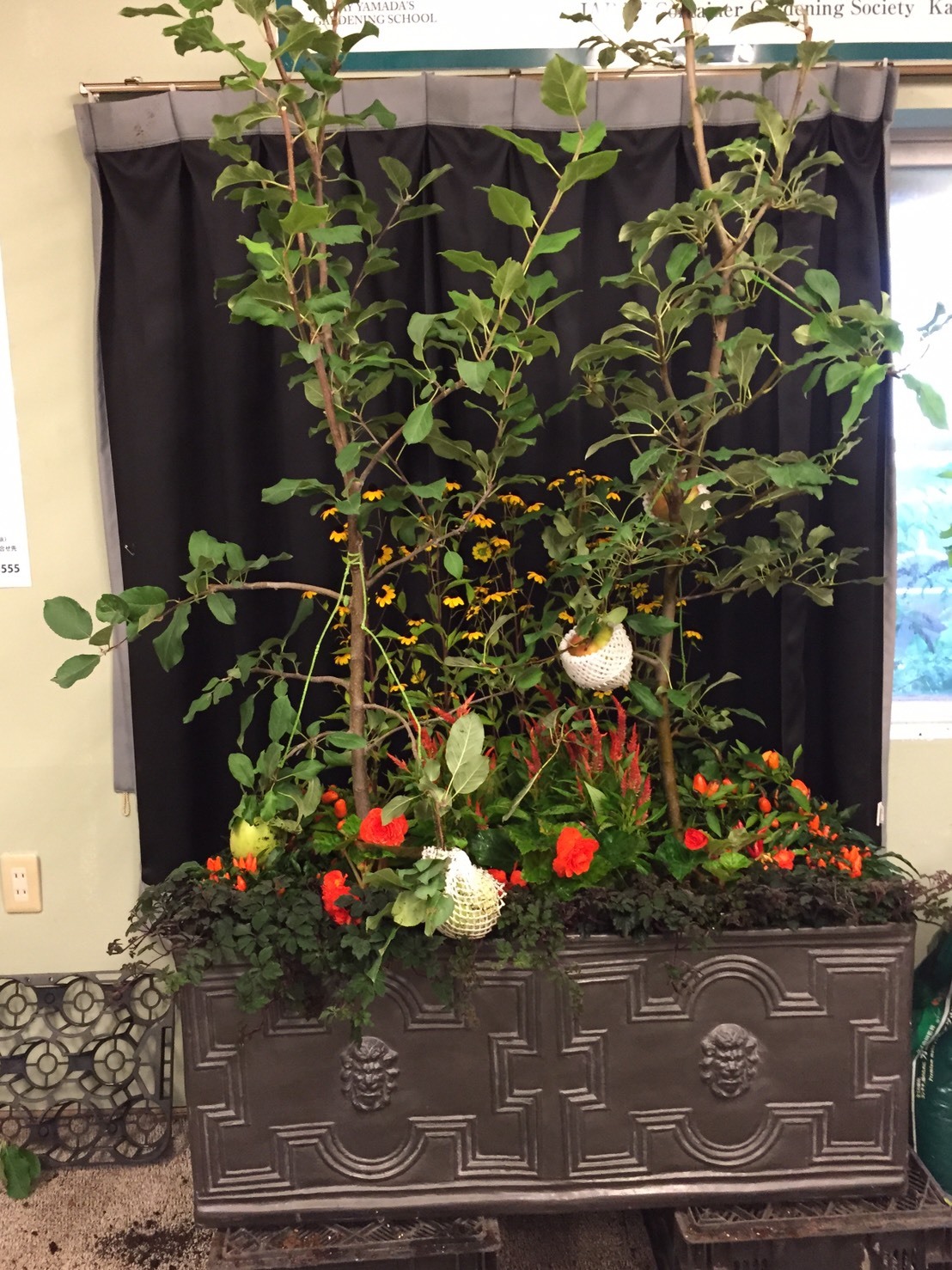 秋のガーデニング講座 ２日目 果樹を使った寄植え実技 横浜山手ガーデニング倶楽部