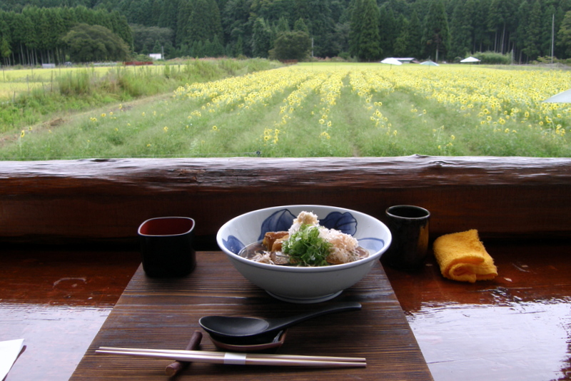 お蕎麦と向日葵_c0057390_23274954.jpg