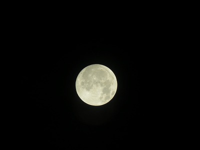b0209691_12443968.jpg