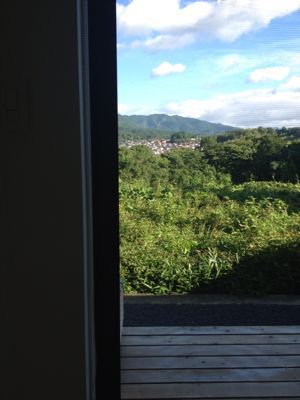 網戸にイライラ_b0370192_9571124.jpg