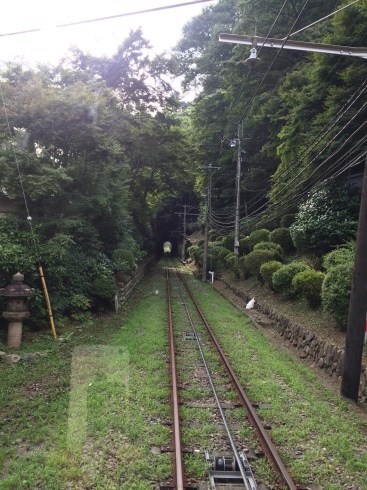 2016 18切符夏旅2 中央本線経由東京下町ぶらり旅_e0109292_13295987.jpeg