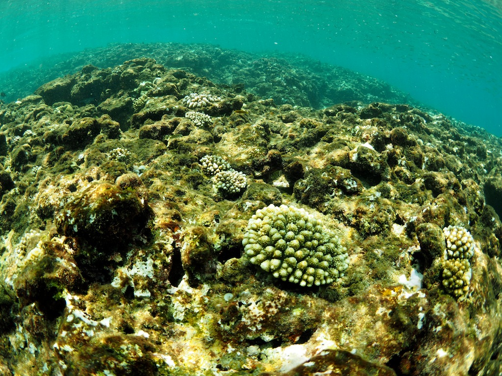 a0010095_149666.jpg