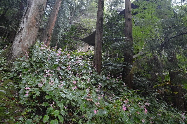 c0124100_23563651.jpg