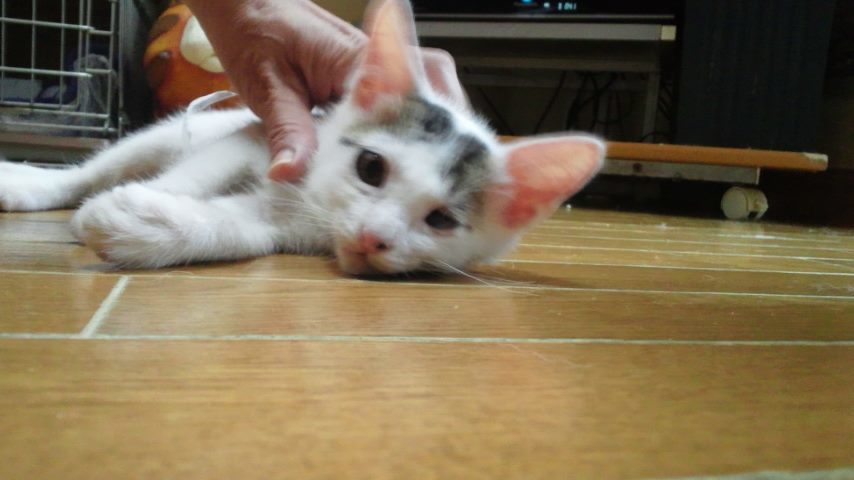 f0242002_22442402.jpg
