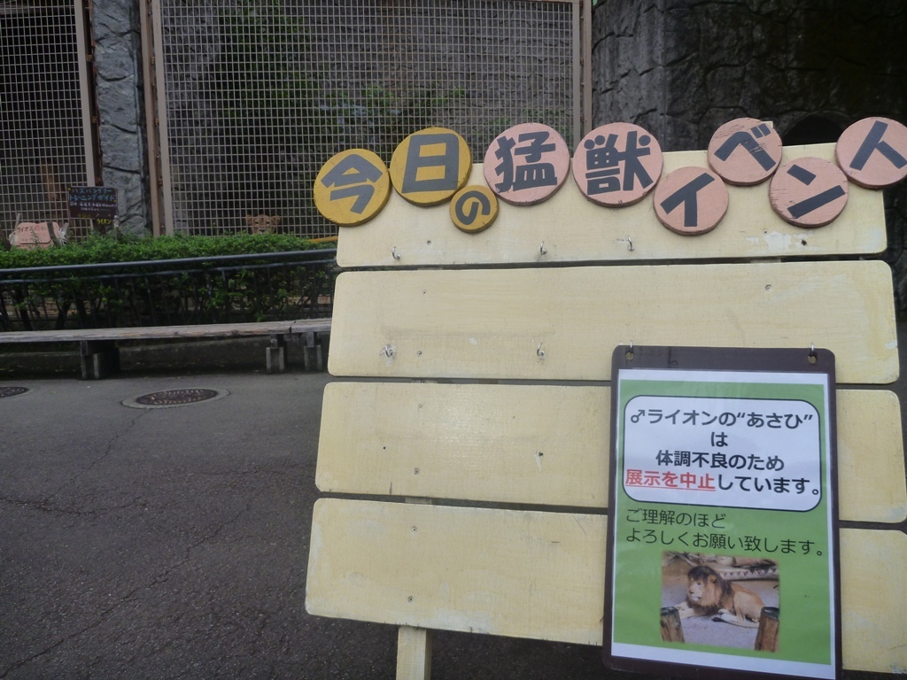 麻酔とトレーニング_c0290504_18140033.jpg