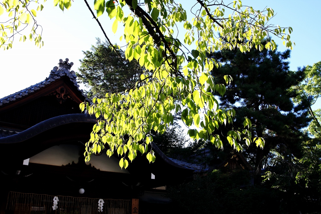b0162110_21115538.jpg