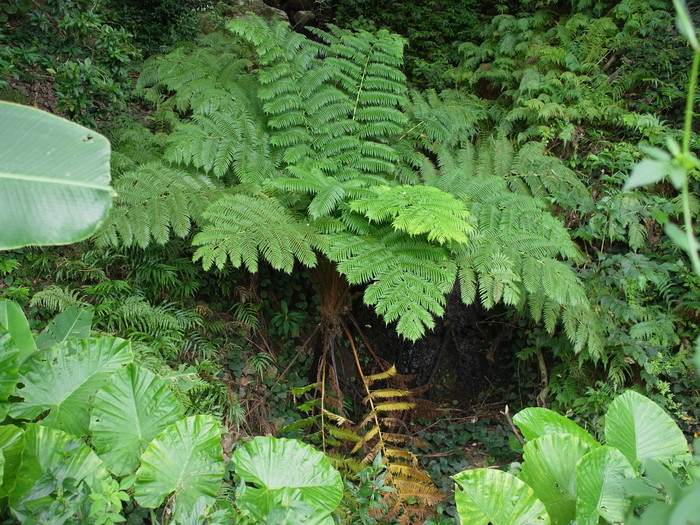 e0276411_2345765.jpg