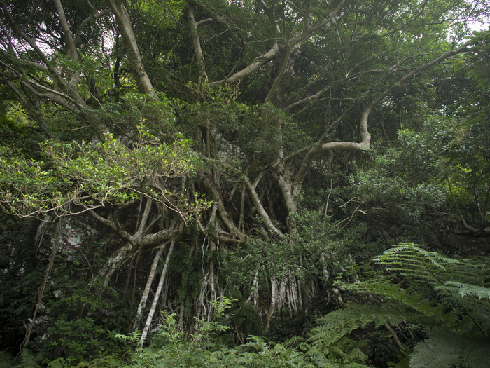 e0276411_23637100.jpg