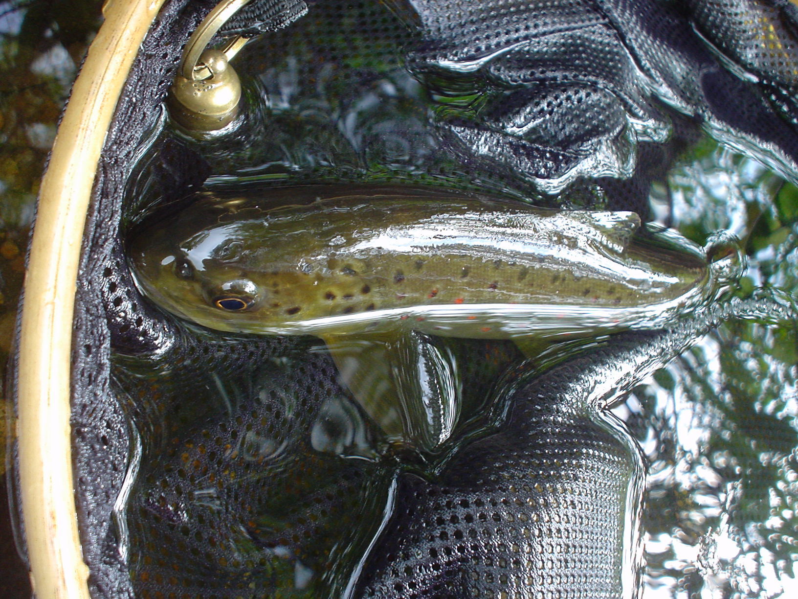f0280717_18583729.jpg