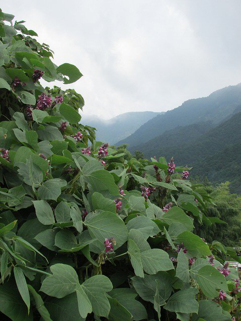 e0321325_103233.jpg