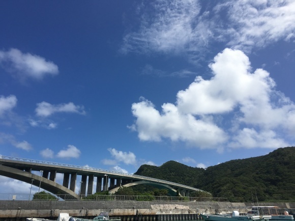 d0224927_13390558.jpeg