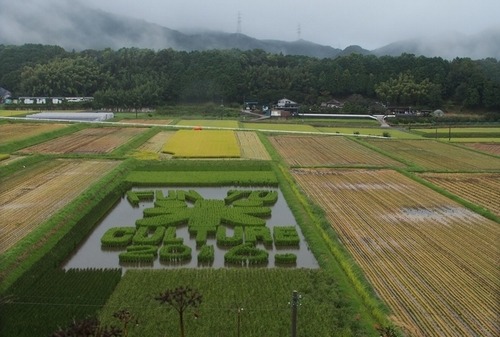 雨の中の撮影会1_f0013727_1712261.jpg