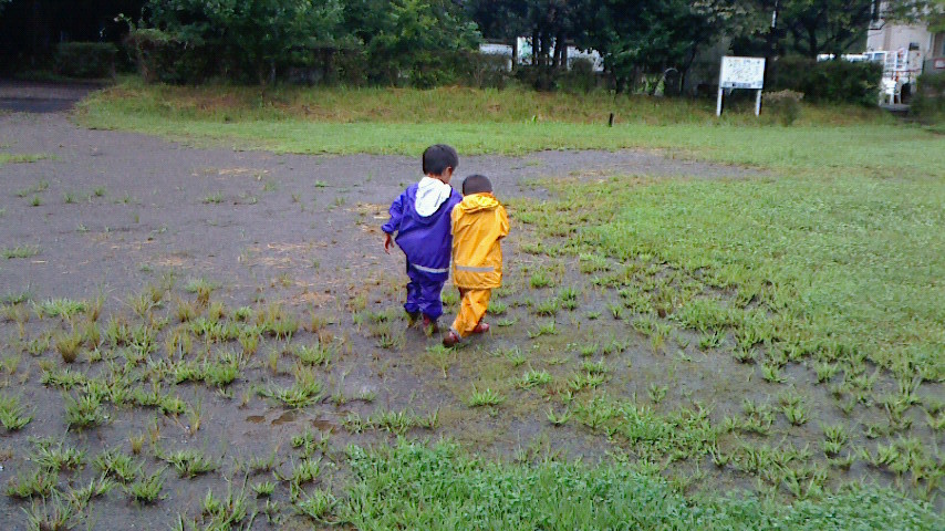 雨の少年の森_b0369933_21292343.jpg