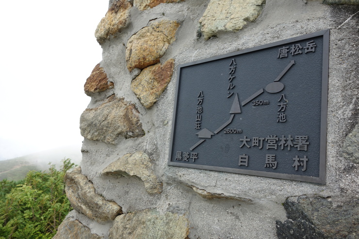 a0287336_201020100.jpg