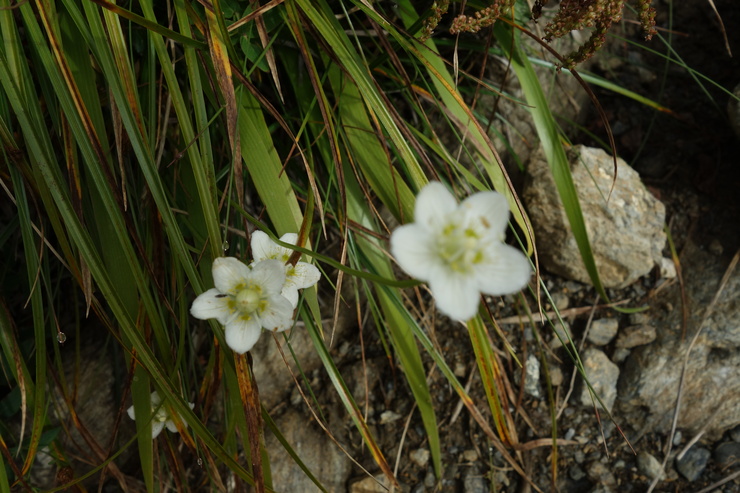 a0287336_2034394.jpg