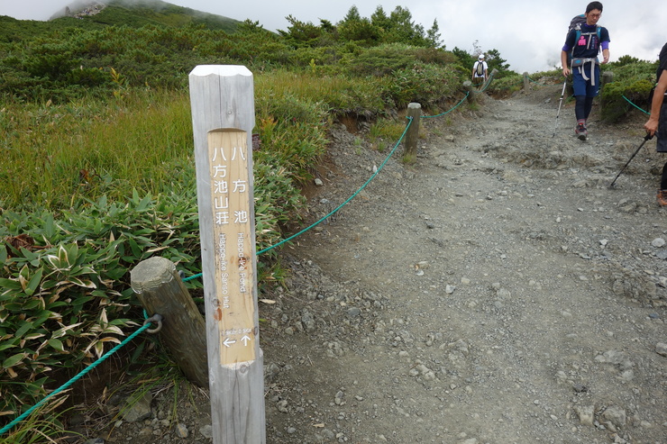 a0287336_20654.jpg
