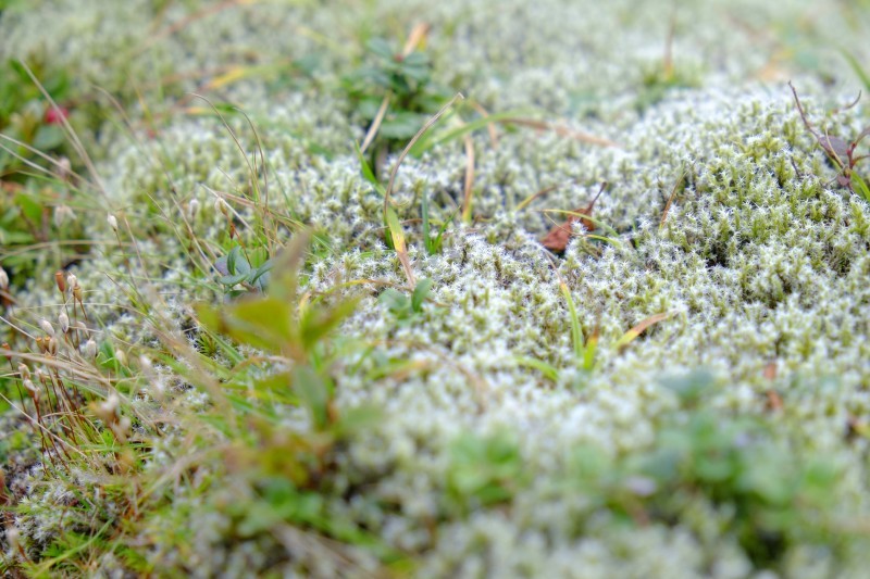 d0347140_20493874.jpg
