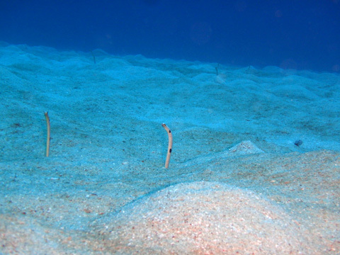 f0014842_17102917.jpg