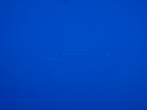 f0014842_17140214.jpg
