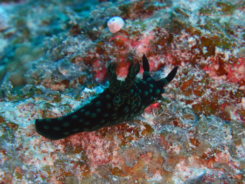 f0014842_17165060.jpg