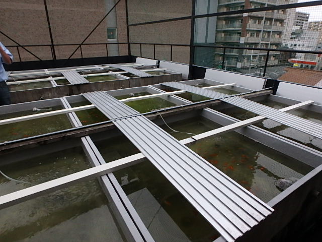 f0334143_812329.jpg