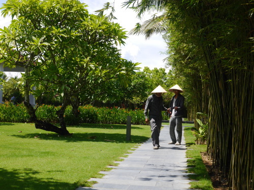 Da Nang & Hoi An～　ダナンのホテルで過ごす_a0357546_10285937.jpg