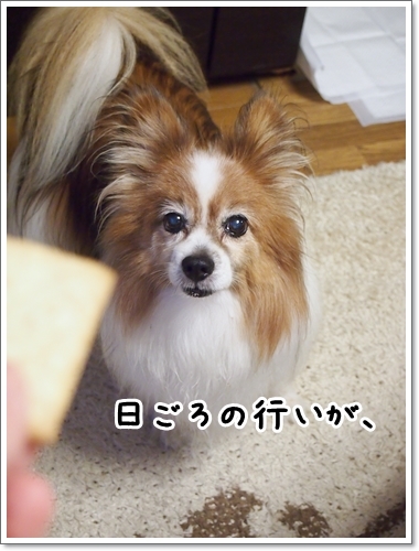 d0013149_00292080.jpg