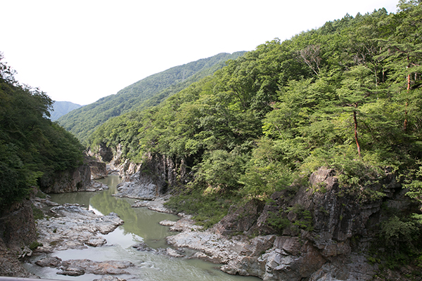 c0092152_059771.jpg