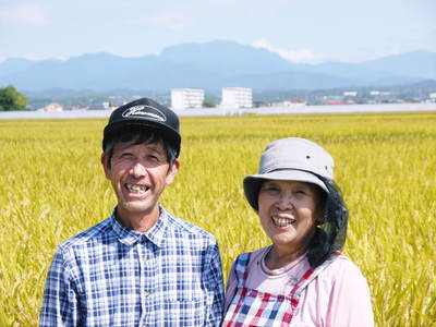 七城米 長尾農園 美しすぎる田んぼで見事にそろって稲穂が頭を垂れ始めました!稲刈りは10月中旬です!_a0254656_17514893.jpg