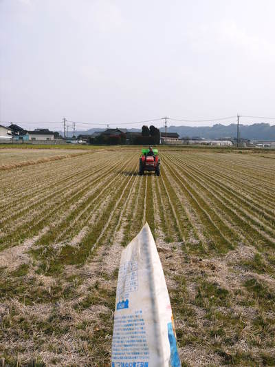 七城米 長尾農園 美しすぎる田んぼで見事にそろって稲穂が頭を垂れ始めました!稲刈りは10月中旬です!_a0254656_18565166.jpg