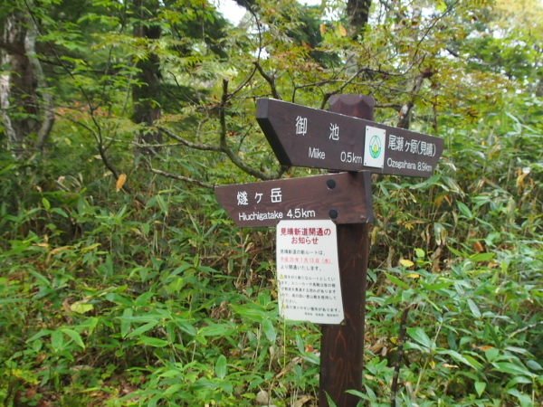 c0321967_20143908.jpeg