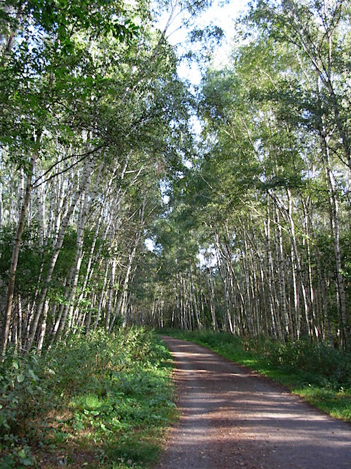 e0357367_01424386.jpg