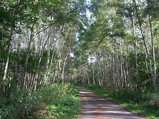 e0357367_01425419.jpg
