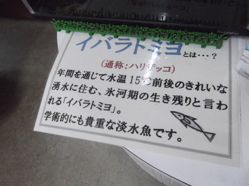 六郷の湧水群_b0067569_17184285.jpg