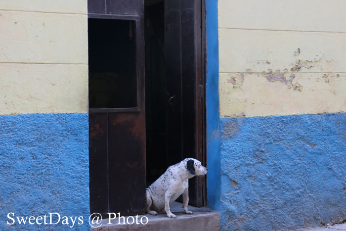 【CUBA - ｷｭｰﾊﾞ】HAVANA - ハバナ・キューバ人の暮らし_e0046675_09015812.jpg