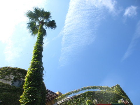 夏の終わりに、旅。　モアナコースト in 鳴門_d0098183_19233739.jpg