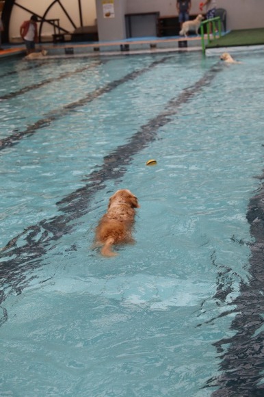 b0275998_10260417.jpeg