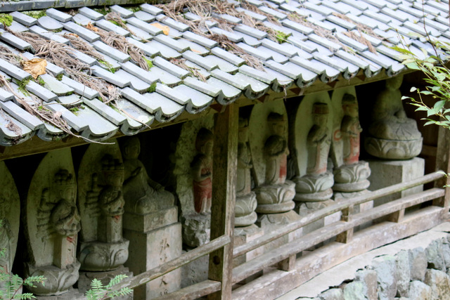 常勝寺 Ⅲ_a0260500_16132595.jpg