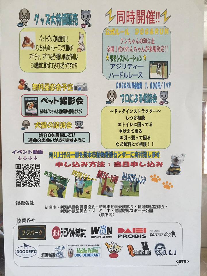 明日は『犬の大運動会』です_d0293002_13215166.jpg