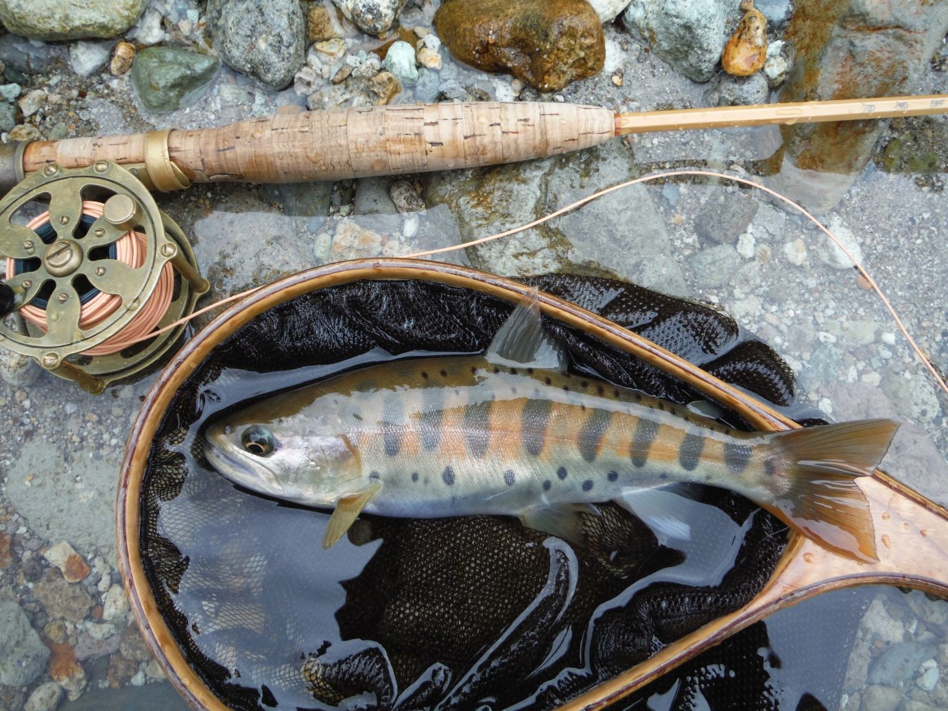 雨の秋山女魚・釣師にとっての癒しとは_b0172805_8284568.jpg