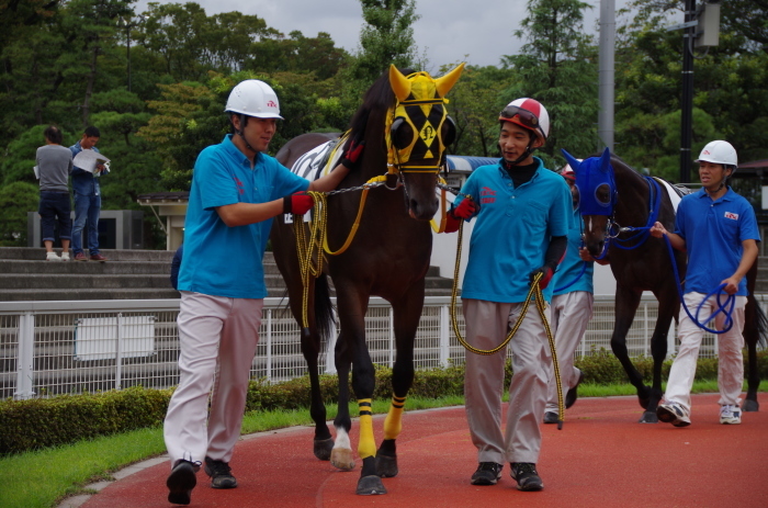 チョリータ 5戦目＠大井競馬場 4R 2016.9.21_d0344707_19054017.jpg