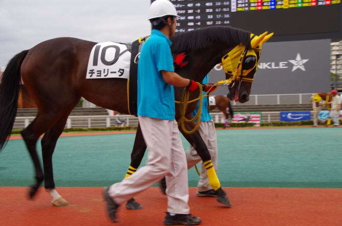 チョリータ 5戦目＠大井競馬場 4R 2016.9.21_d0344707_19062548.jpg