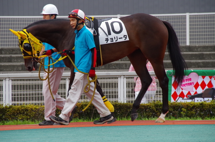 チョリータ 5戦目＠大井競馬場 4R 2016.9.21_d0344707_19070859.jpg