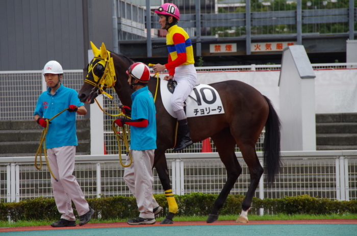 チョリータ 5戦目＠大井競馬場 4R 2016.9.21_d0344707_19080332.jpg