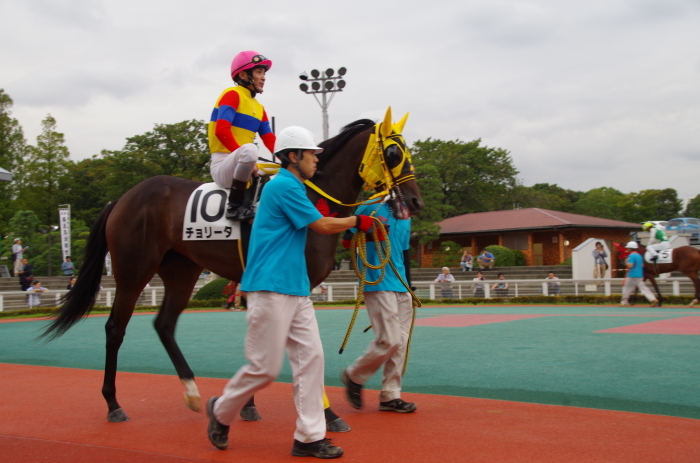 チョリータ 5戦目＠大井競馬場 4R 2016.9.21_d0344707_19081225.jpg