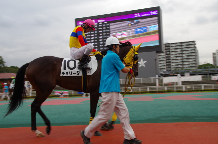 チョリータ 5戦目＠大井競馬場 4R 2016.9.21_d0344707_19082165.jpg