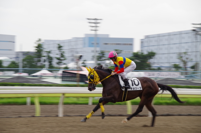 チョリータ 5戦目＠大井競馬場 4R 2016.9.21_d0344707_19091794.jpg