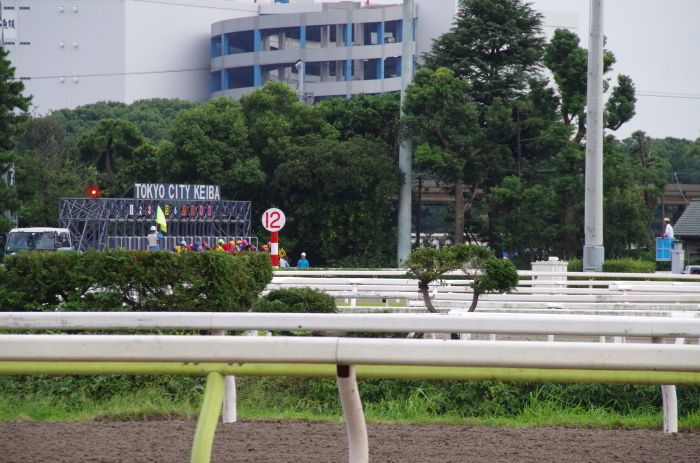 チョリータ 5戦目＠大井競馬場 4R 2016.9.21_d0344707_19092953.jpg