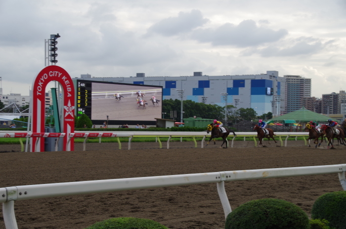 チョリータ 5戦目＠大井競馬場 4R 2016.9.21_d0344707_19094493.jpg