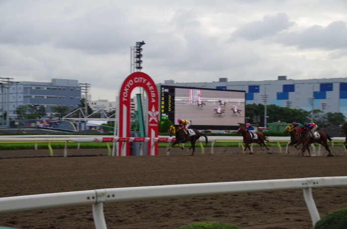 チョリータ 5戦目＠大井競馬場 4R 2016.9.21_d0344707_19101224.jpg